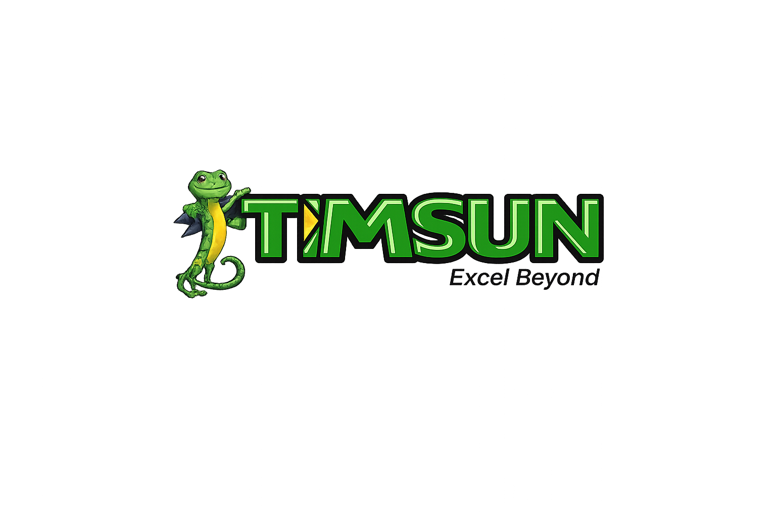 TIMSUN